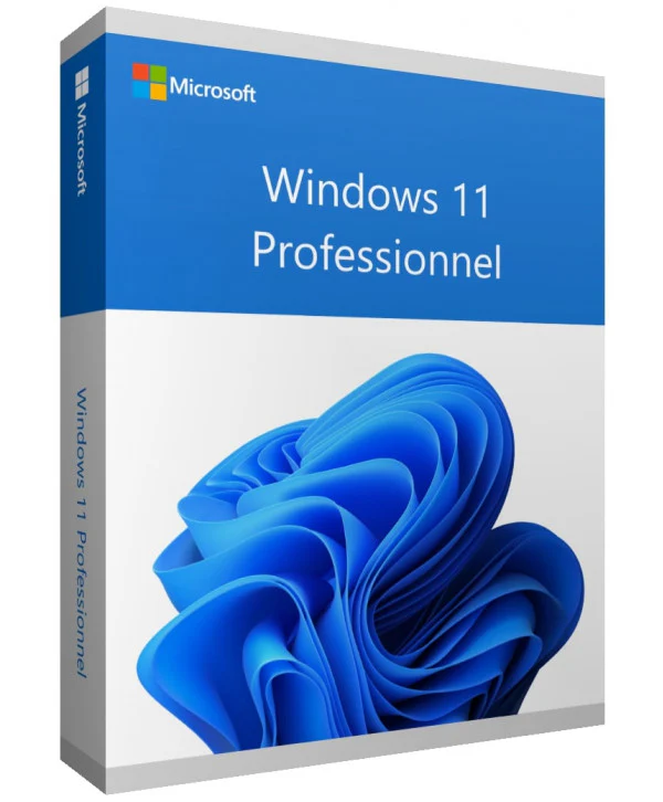 LICENCE WINDOWS 11 PRO