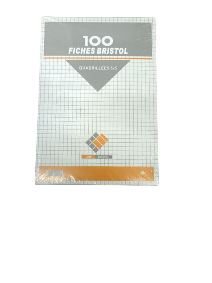 PAPIER BRISTOL 65*100 240G PQT DE 100