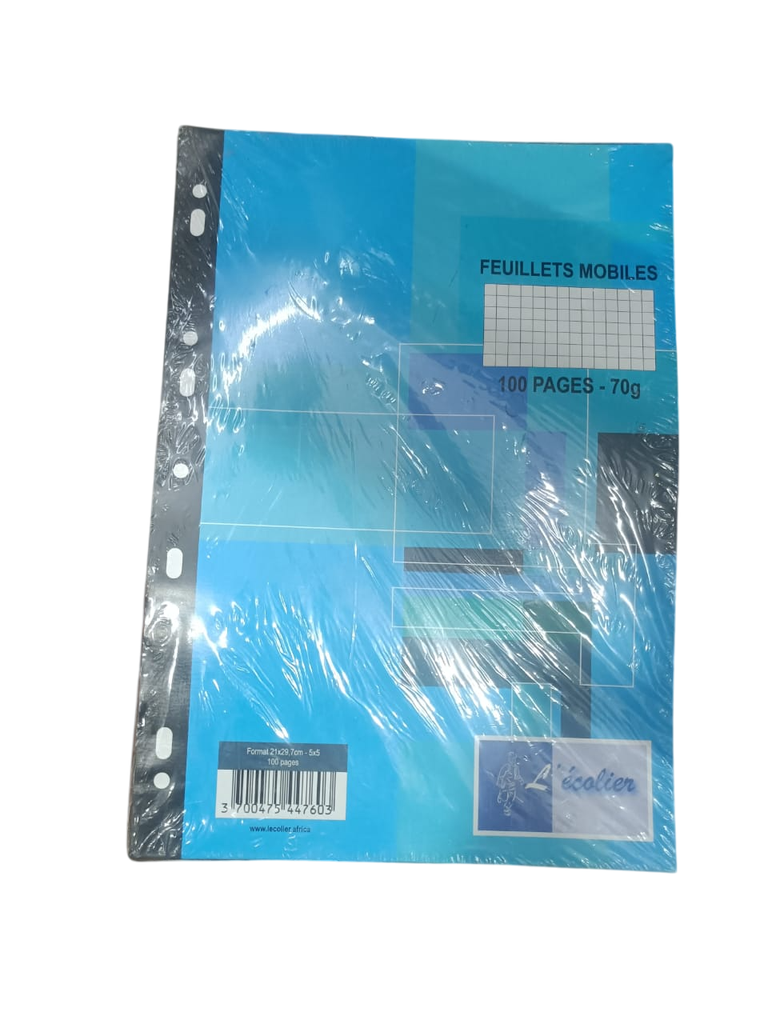 COPIE DOUBLE A4 PERFORÉES 200P 70G 5/5 ECOLIER 44757