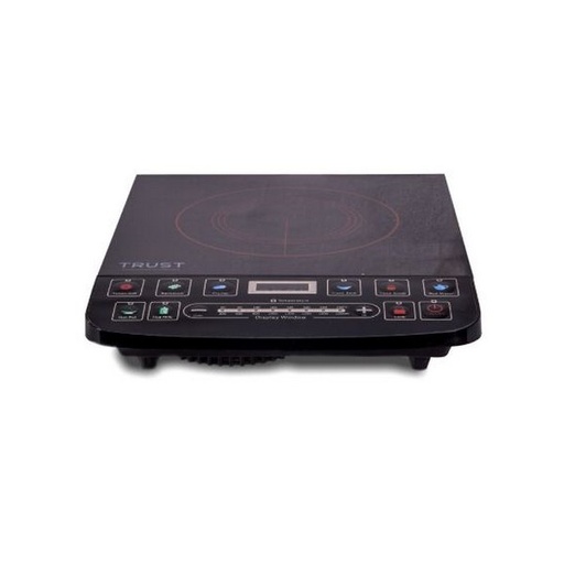 [STO:PLAQ-07420] PLAQUE INDUCTION TRUST BI-20T25