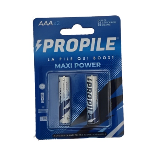 [STO:PILE-07312] PILE PROPILE MAXI POWER AAA/LR03 PQT DE 2