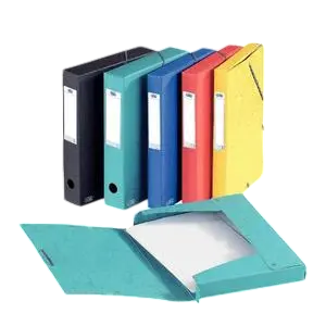 [STO:BOIT-00818] BOITE DE CLASSEMENT EUROBOX POLYPRO DOS 25CM PREMIER