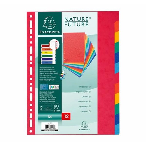 [STO:INTE-05443] INTERCALAIRE A4 PLASTIQUE 12 POSITIONS EXACOMPTA REF3012E